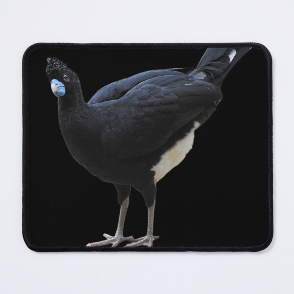 Item preview, Blue-billed curassow designed and sold by andrew82984.