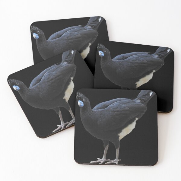 Item preview, Blue-billed curassow designed and sold by andrew82984.