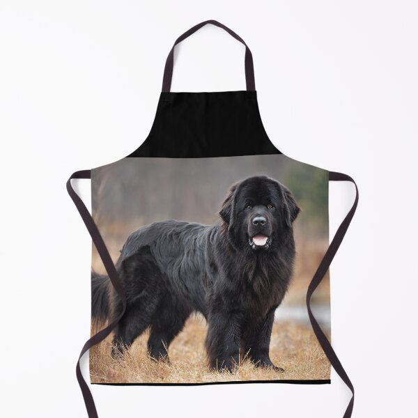 Item preview, Newfoundlander dog designed and sold by ArtfulPlay.