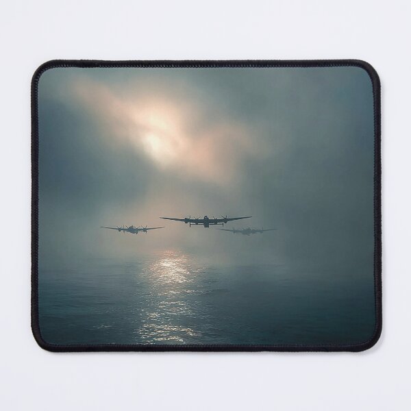 Item preview, Coastal Skybound designed and sold by Skyframe Aviation.