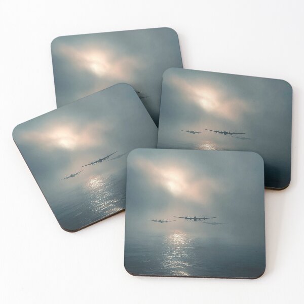 Item preview, Coastal Skybound designed and sold by Skyframe Aviation.