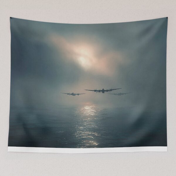 Item preview, Coastal Skybound designed and sold by Skyframe Aviation.