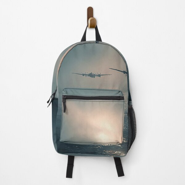 Item preview, Coastal Skybound designed and sold by Skyframe Aviation.