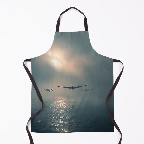 Item preview, Coastal Skybound designed and sold by Skyframe Aviation.