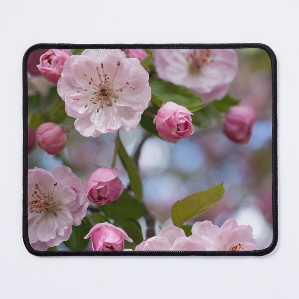 Item preview, Crabapple Blossoms designed and sold by Imbeccable Images.