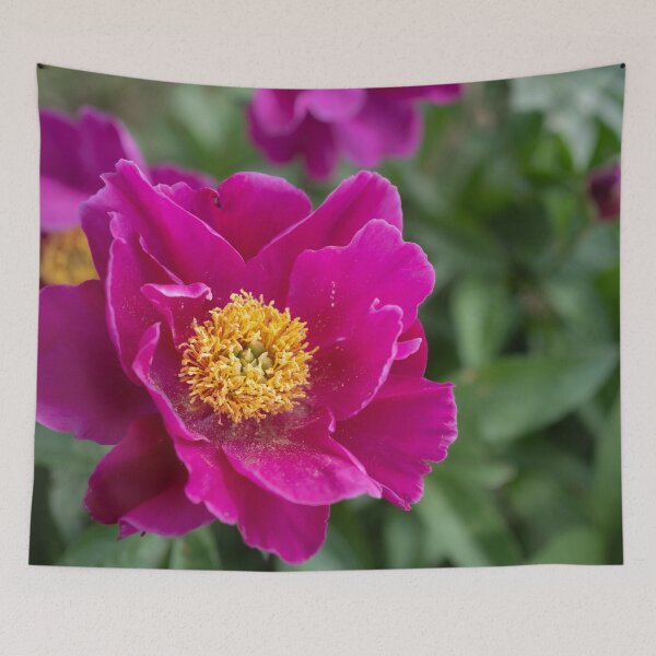 Item preview, Eye of the Peony designed and sold by Imbeccable Images.