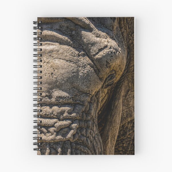 Item preview, Face of Wisdom designed and sold by Imbeccable Images.