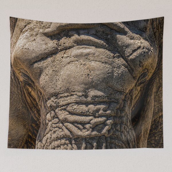Item preview, Face of Wisdom designed and sold by Imbeccable Images.