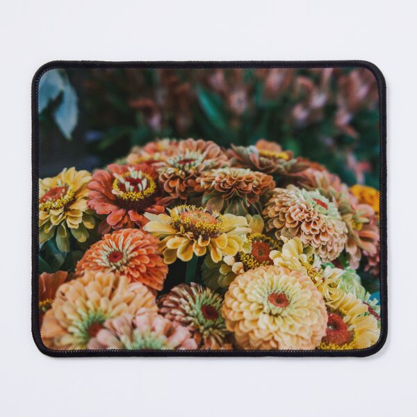 Item preview, Zinnia Blooms in Warm Hues at a Hokuto Florist in Yamanashi Prefecture, Japan designed and sold by Pix4Japan.