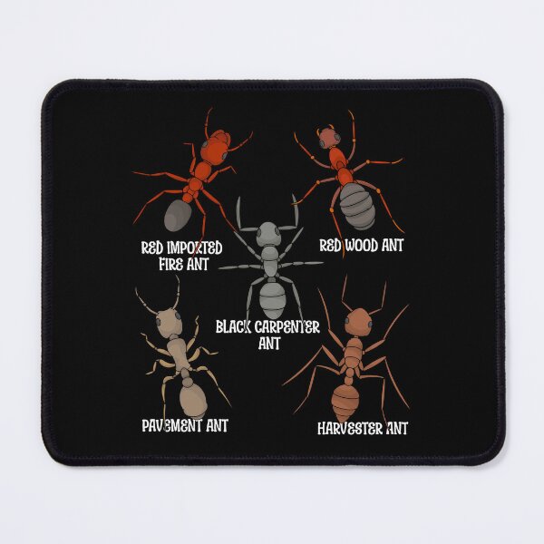 Item preview, Ant Lover Kids Entomology Ant Species Red Ants designed and sold by DSWShirts.