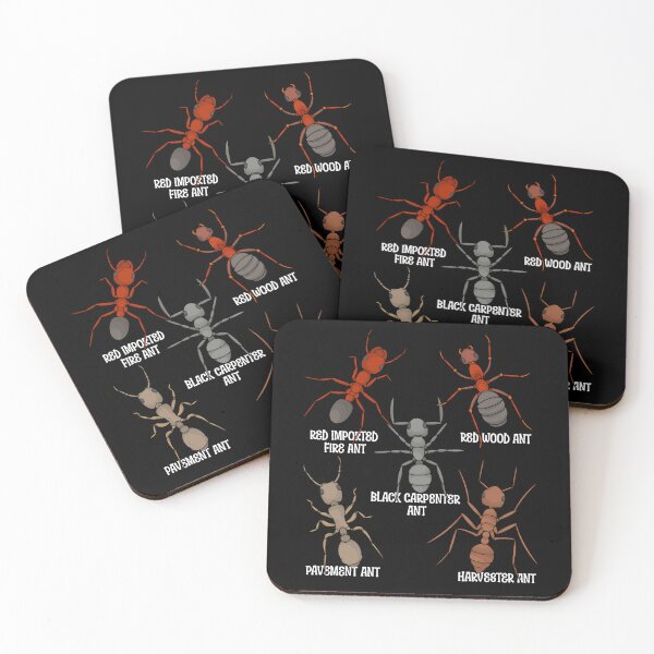 Item preview, Ant Lover Kids Entomology Ant Species Red Ants designed and sold by DSWShirts.