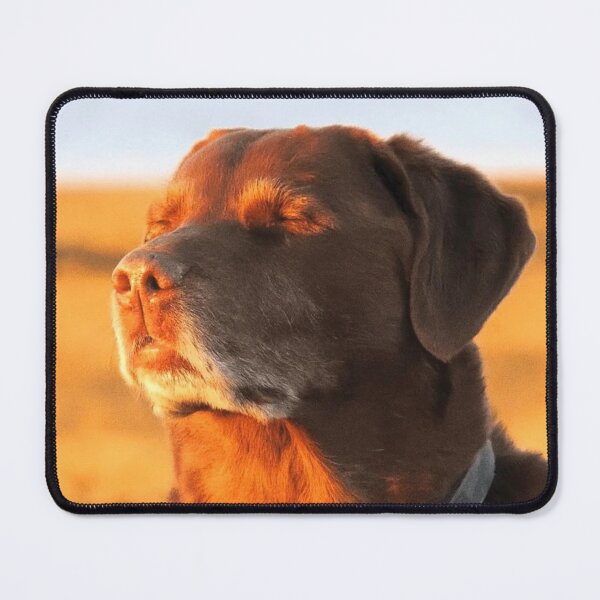 Item preview, Cooked Dog Meme designed and sold by ShirtsTrending.