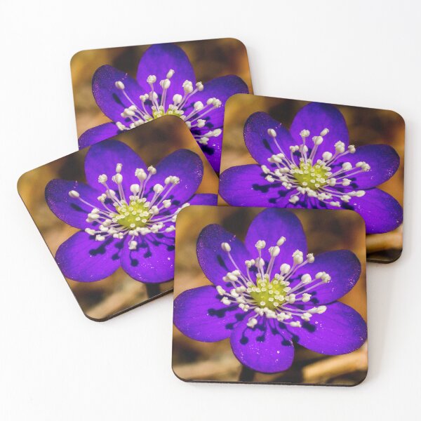 Artikelvorschau, Purple Bloom: Die Präzision der Natur entworfen und verkauft von iks3200.