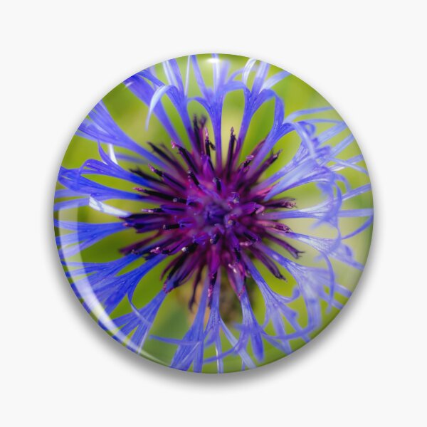Item preview, Blue Radiance: Cornflower Detail designed and sold by iks3200.