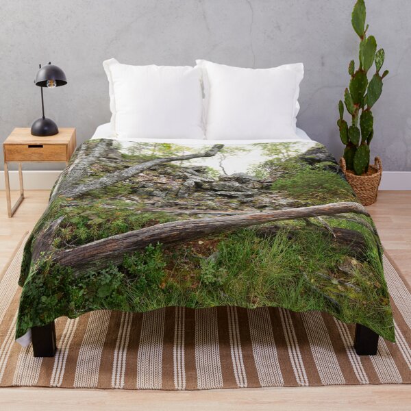Item preview, No path to go there. Kuusamo, Pieni karhunkierros 2025 designed and sold by Jouko Lehto Photography.