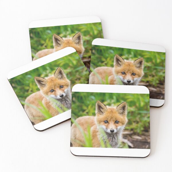 Item preview, Curious Eyes: Young Fox in the Wild designed and sold by iks3200.