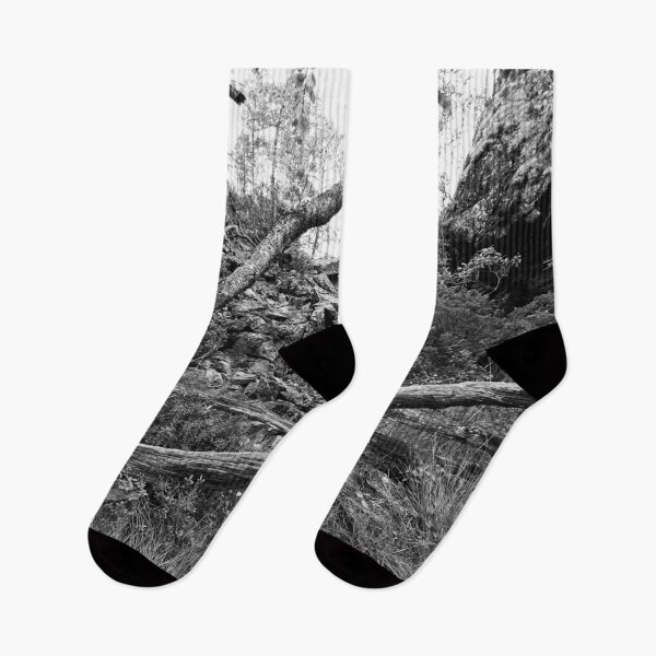 Item preview, No path to go there. Kuusamo, Pieni karhunkierros 2025 bw designed and sold by Jouko Lehto Photography.