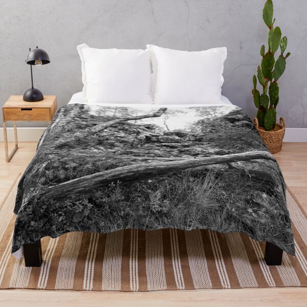 Item preview, No path to go there. Kuusamo, Pieni karhunkierros 2025 bw designed and sold by Jouko Lehto Photography.