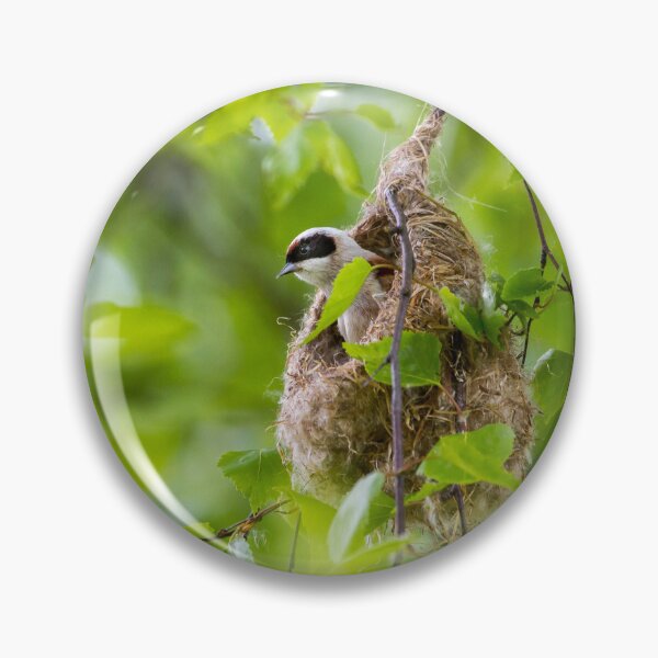 Item preview, Nestmaster: Penduline Tit in Action designed and sold by iks3200.