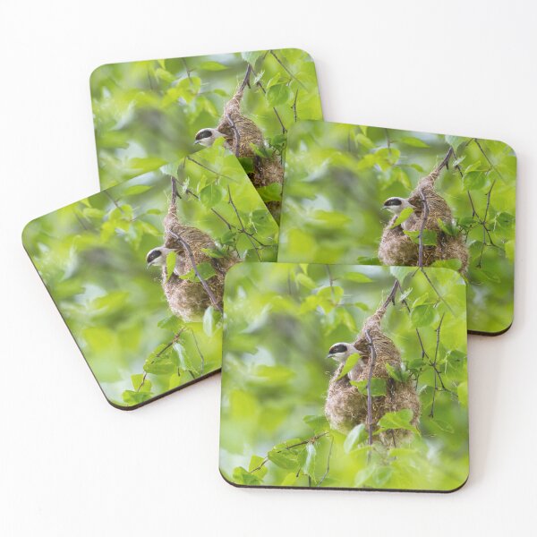 Item preview, Nestmaster: Penduline Tit in Action designed and sold by iks3200.
