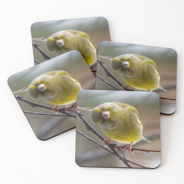 Item preview, Tilted Curiosity: Greenfinch on a Branch designed and sold by iks3200.