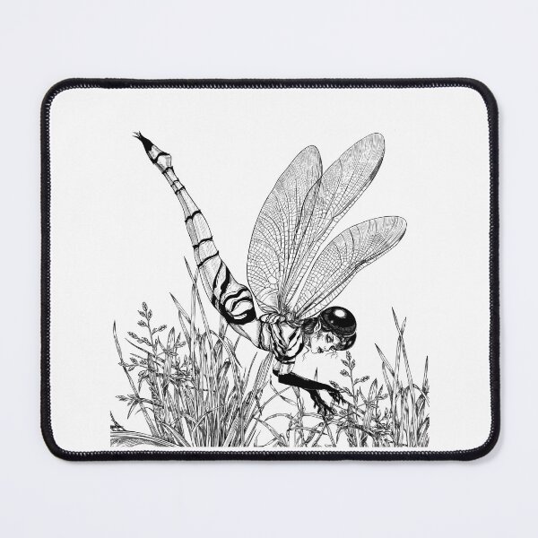 Item preview, Dragonfly Fae in the Long Grass designed and sold by TraceyEvansArt.