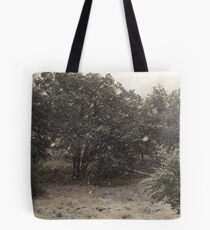 414 Snowing Tote Bag