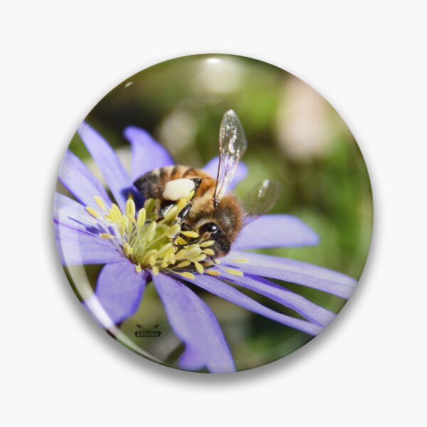 Item preview, Honey Bee V / Swiss Artwork Photography designed and sold by Raphael Wolf.