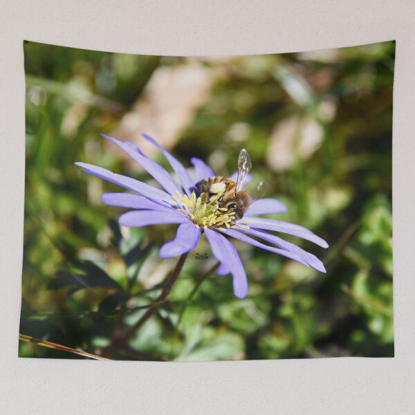 Item preview, Honey Bee V / Swiss Artwork Photography designed and sold by Raphael Wolf.