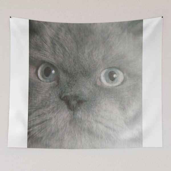 Item preview, persian lilac colour-point.  designed and sold by Valgasnews011.