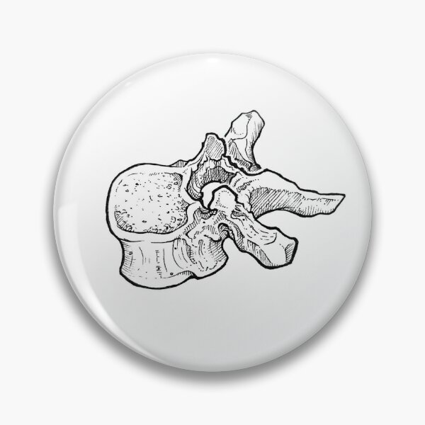 Item preview, Vertebra designed and sold by Anachronatomy.