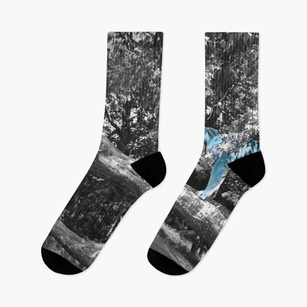 Item preview, Blue Tiger / Swiss Artwork Photography designed and sold by Raphael Wolf.