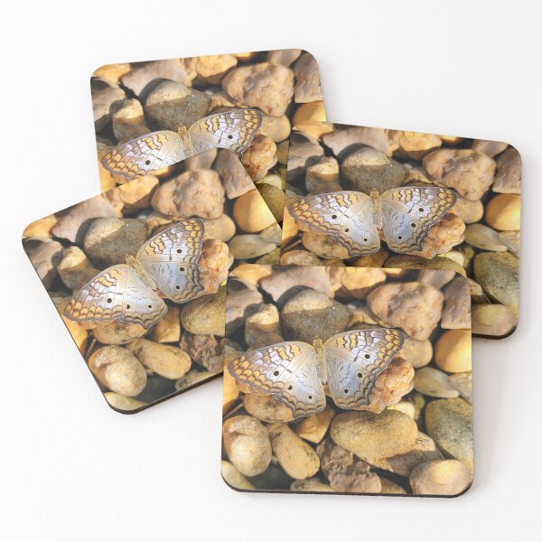 Item preview, Beautiful butterfly  designed and sold by Jmb67.