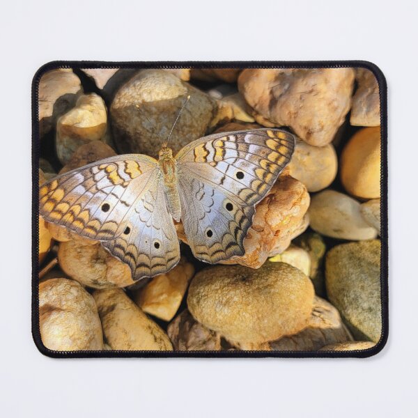 Item preview, Beautiful butterfly designed and sold by Jmb67.