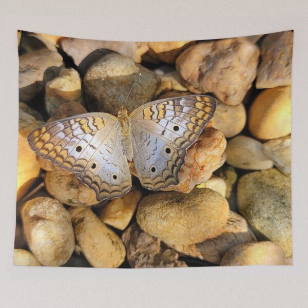 Item preview, Beautiful butterfly  designed and sold by Jmb67.