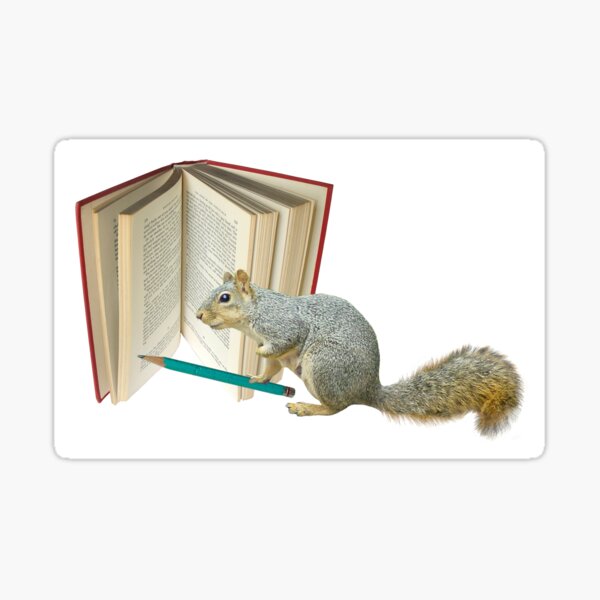 Squirrel Pencil Book Sticker