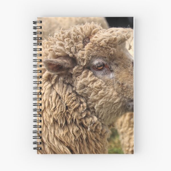 Item preview, Shaun the sheep. designed and sold by Ian Ramsay.