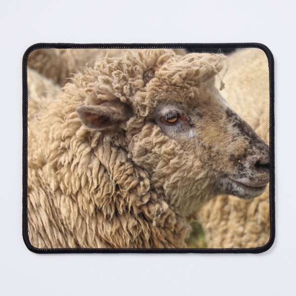 Item preview, Shaun the sheep. designed and sold by Ian Ramsay.