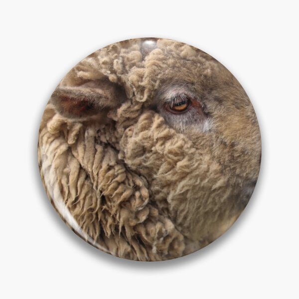 Item preview, Shaun the sheep. designed and sold by Ian Ramsay.