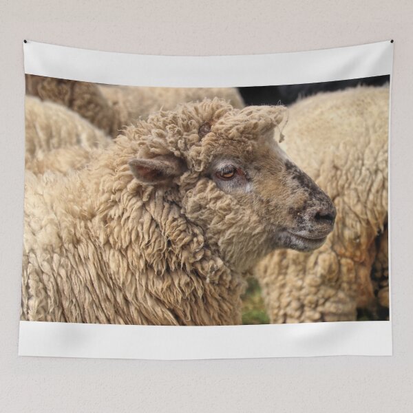 Item preview, Shaun the sheep. designed and sold by Ian Ramsay.