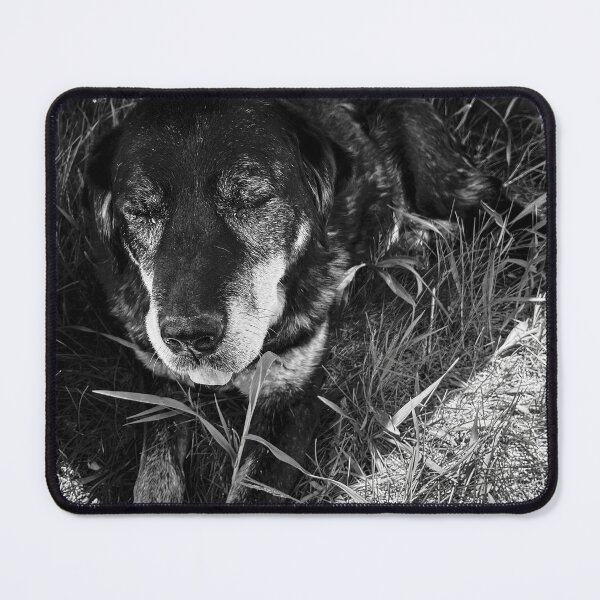 Item preview, My Sophie designed and sold by R-Photography.