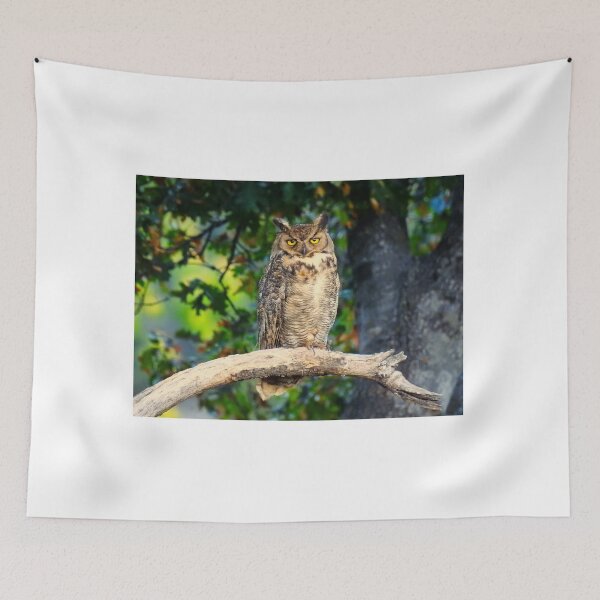 Item preview, A Great Horned Owl on an Oak Snag designed and sold by Wonders Of Paradise.
