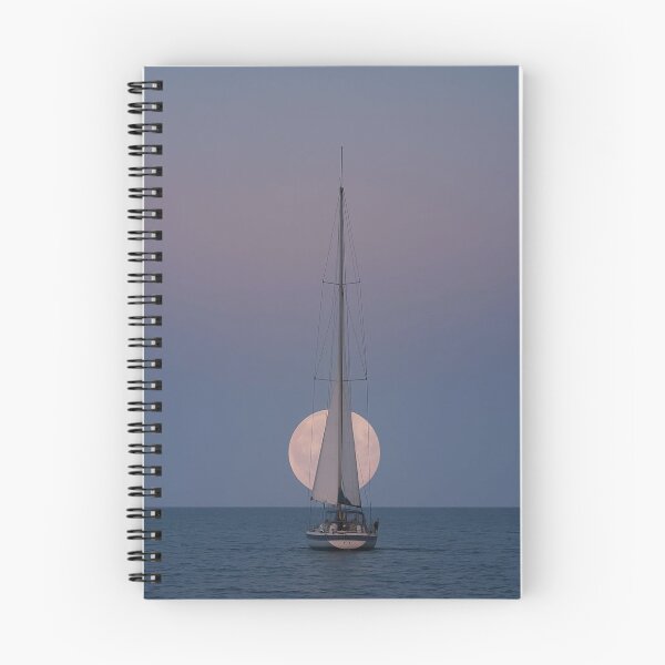 Item preview, Seashell University Of Technology Sydney Uts cTrail At Dawn. designed and sold by Sinhakudiye.