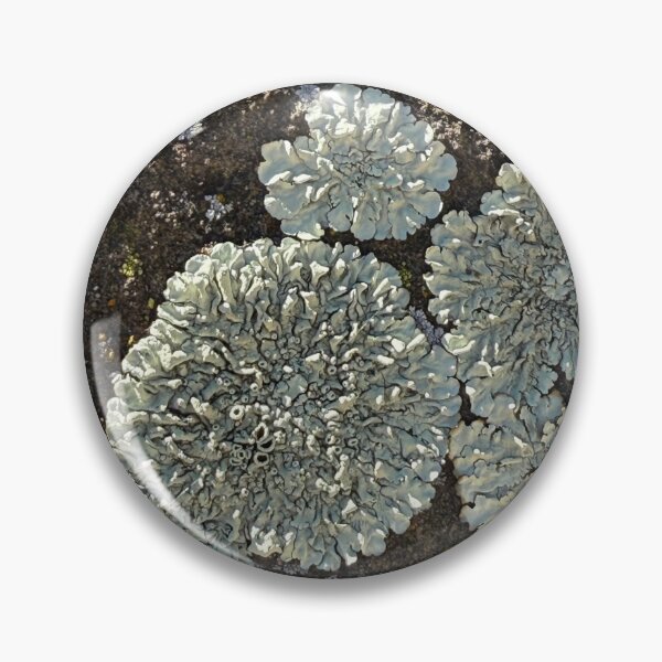 Item preview, Ancient Stone Garden – Nature’s Lichen Bloom designed and sold by TrisaThyme.