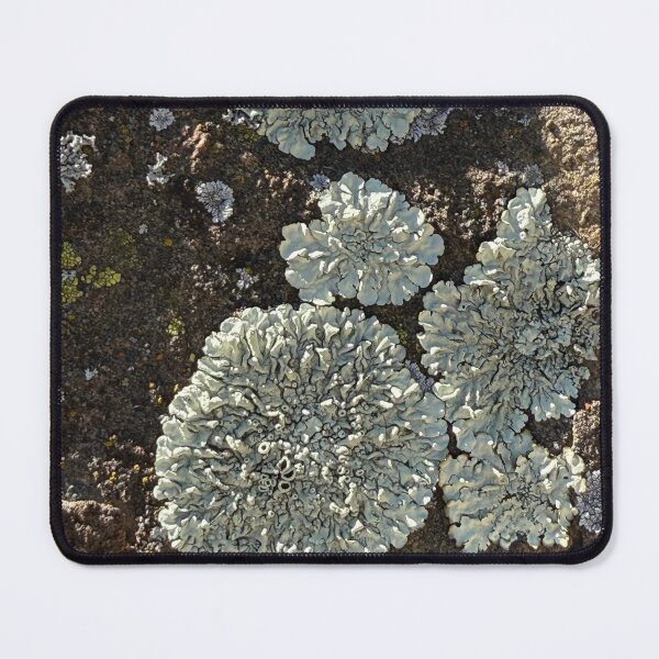 Item preview, Ancient Stone Garden – Nature’s Lichen Bloom designed and sold by TrisaThyme.