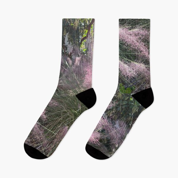 Item preview, Blush of the Wind – Pink Muhly Grass in Sunlight designed and sold by TrisaThyme.