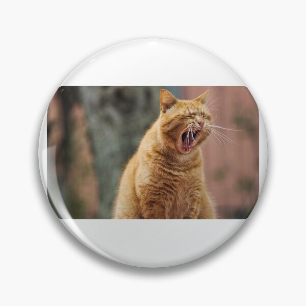 Item preview, yep, its nap time  Christmas Cat gifts designed and sold by nicke2025.
