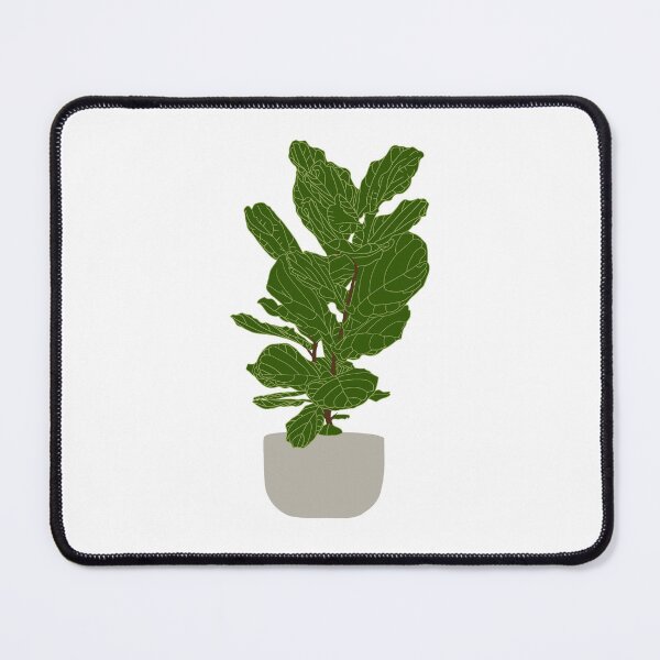 Item preview, Fig / Ficus plant designed and sold by Natalie-Mikac.
