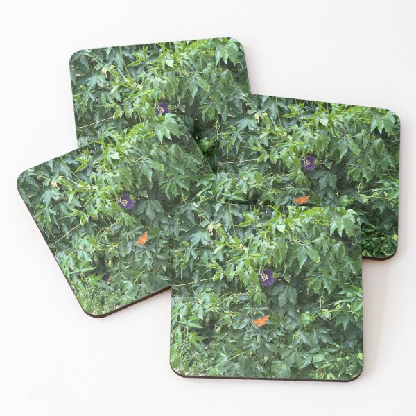 Item preview, the butterfly & the passionflower designed and sold by laniebug62.