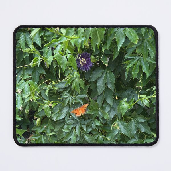 Item preview, the butterfly & the passionflower designed and sold by laniebug62.